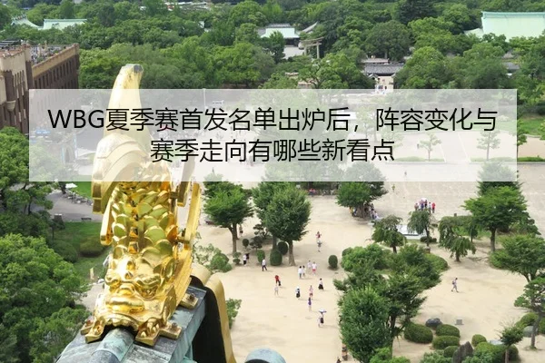WBG夏季赛首发名单出炉后，阵容变化与赛季走向有哪些新看点